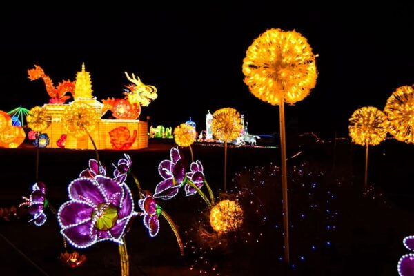 Tenerife: Light Park Tenerife Ticket - The Sum Up