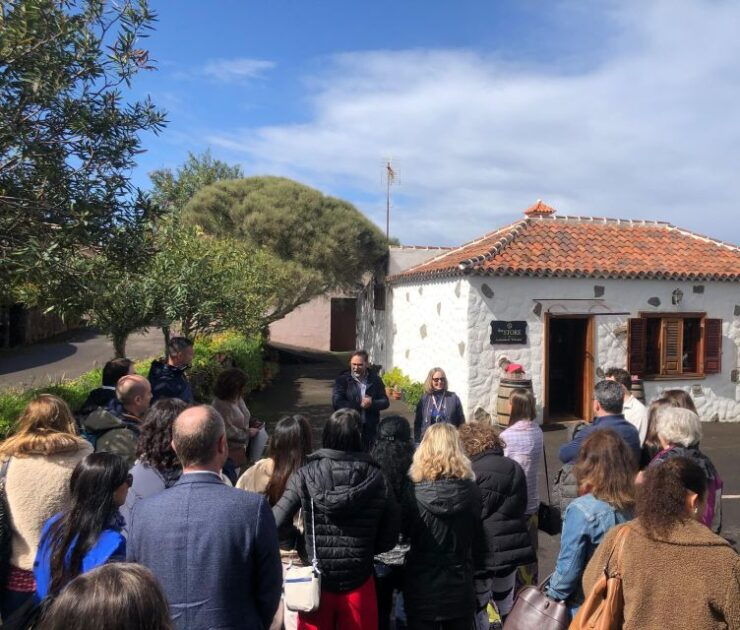 Tenerife: Local Wine Tour & Taste - Good To Know