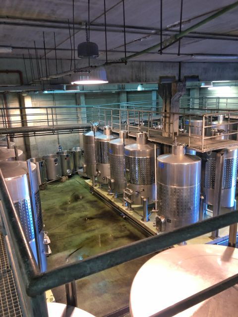 Tenerife: Local Wine Tour & Taste - Itinerary