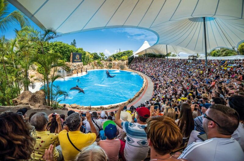 Tenerife: Loro Parque Entry Ticket - Park Highlights and Attractions