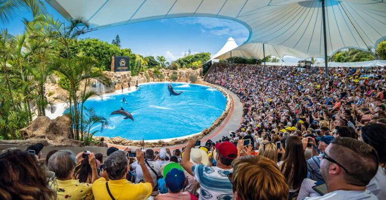 Tenerife: Loro Parque Entry Ticket - Visitor Experience and Reviews