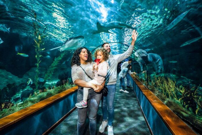 Tenerife: Loro Parque Entry Ticket - Discovering the Tropical Wonders of Loro Parque