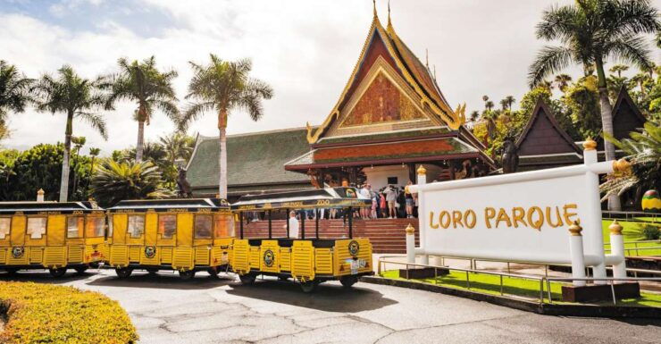 Tenerife: Loro Parque & Siam Park Entry Ticket With Transfer - Ticket Details