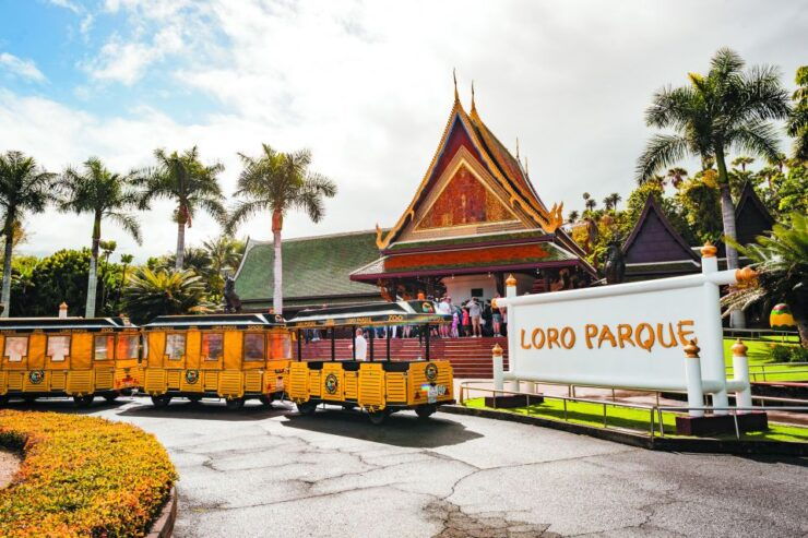Tenerife: Loro Parque & Siam Park Entry Ticket With Transfer - Experience Highlights