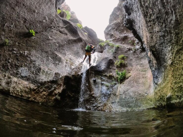 Tenerife: Los Carrizales Water Canyoning and Hiking Tour - Activity Details