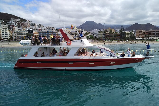 Tenerife Los Cristianos: Whale and Dolphin Eco-Yacht and Swim Stop - Cancellation Policy