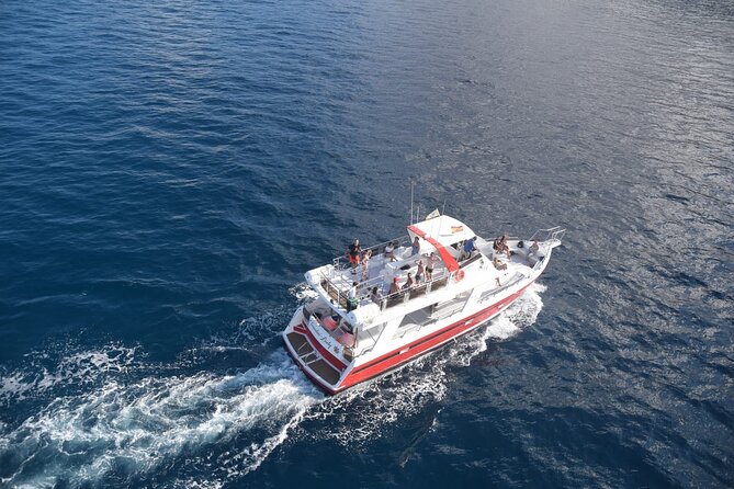 Tenerife Los Cristianos: Whale and Dolphin Eco-Yacht and Swim Stop - Common Questions