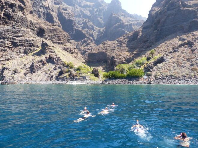 Tenerife: Los Gigantes Whale Watching Cruise by Sail Boat - Customer Reviews