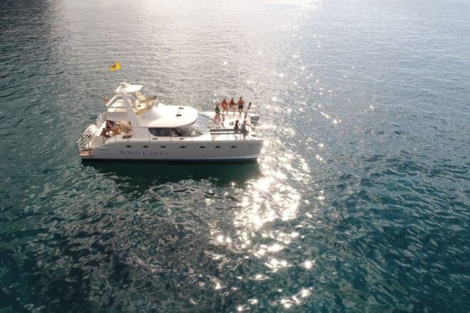 Tenerife: Marine-Life Tour With Transfer, Buffet and Drinks - Review Summary
