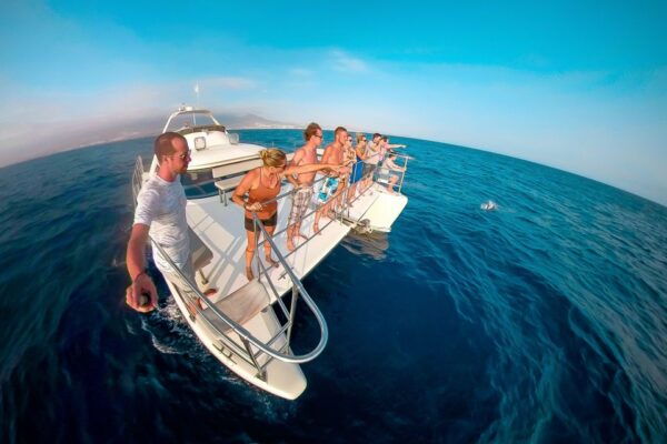 Tenerife: Marine-Life Tour With Transfer, Buffet and Drinks - Boarding Location