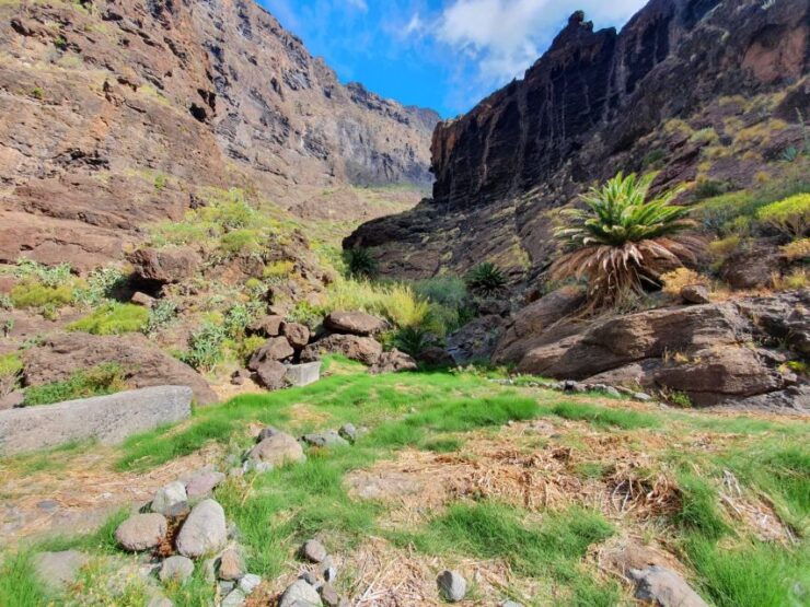Tenerife : Masca Ravine Breathtaking Hiking Adventure - Activity Details