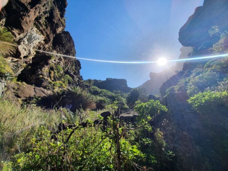 Tenerife : Masca Ravine Breathtaking Hiking Adventure - Free Cancellation and Duration