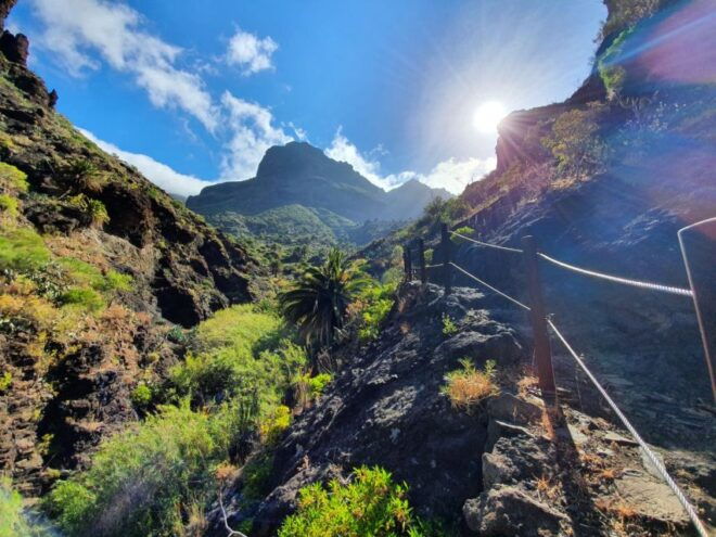 Tenerife : Masca Ravine Breathtaking Hiking Adventure - Check Availability and Meeting Point