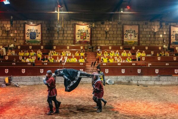 Tenerife: Medieval Night With Dinner, Show, and Transfers - The Sum Up