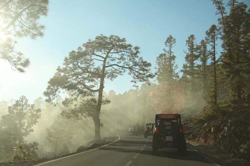 Tenerife: MORNING - 3H Buggy tour of Teide - A Closer Look at the Itinerary and Experience