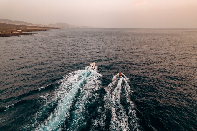 Tenerife Motor Boat Whale Watching & Snorkeling Experience - What To Expect