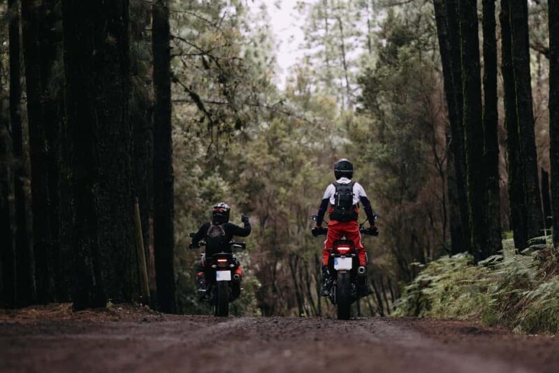 Tenerife: Motorcycle Guide Tour - Off Road - A Deep Dive into the Tenerife Motorcycle Off-Road Tour