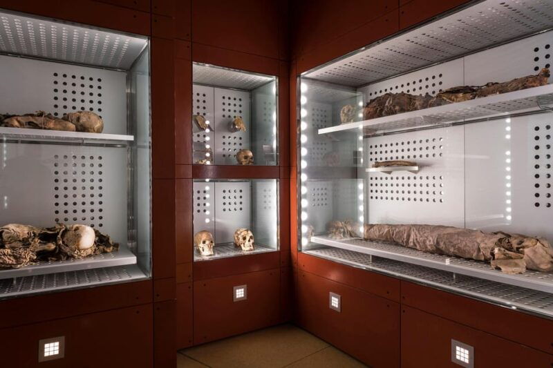 Tenerife: MUNA Museum Admission Ticket and Teide Legend Tour - Highlights of the Combined Tour