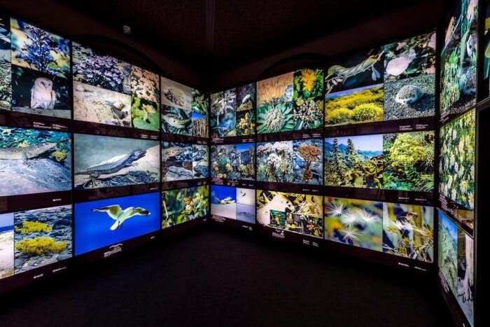 Tenerife: MUNA Museum Admission Ticket and Teide Legend Tour - Facilities and Visitor Guidelines