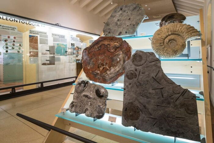 Tenerife: MUNA Museum Admission Ticket and Teide Legend Tour - Customer Feedback and Ratings