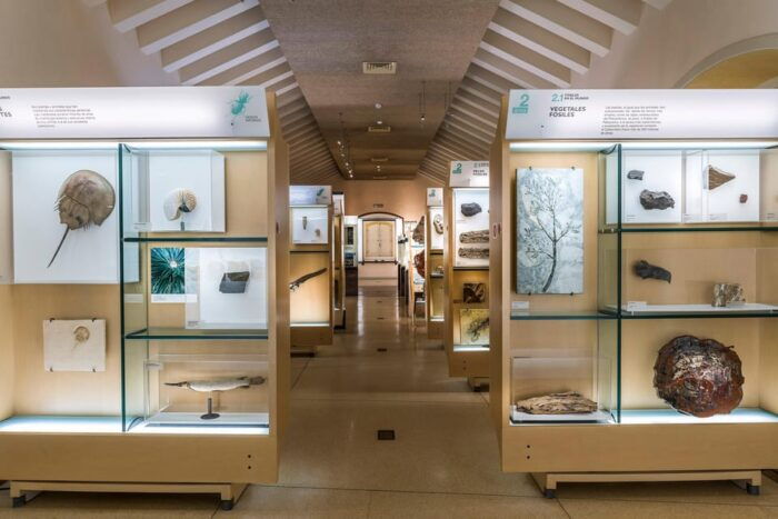Tenerife: MUNA Museum Admission Ticket and Teide Legend Tour - Frequently Asked Questions