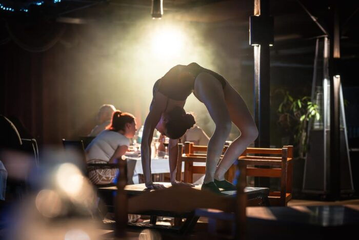 Tenerife: Musical Show the Wild South With Dinner and Transfer - Common Questions