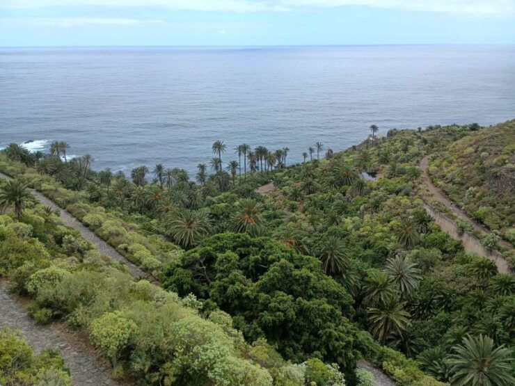 Tenerife: North Coast Landscapes Private Day Tour - Tour Details