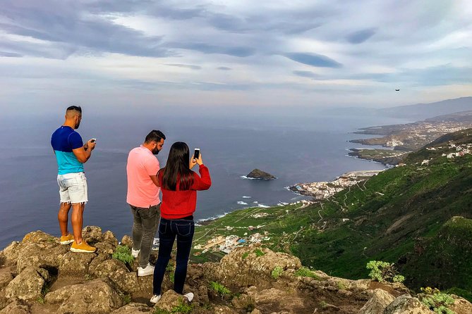 Tenerife North Private Tour: Through Villages and Ports - Tour Details and Pricing