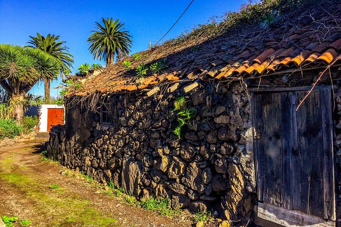 Tenerife North Private Tour: Through Villages and Ports - Common Questions