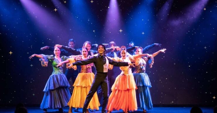 Tenerife : Olé Flamenco Show by Fran Chafino Ticket - Experience Highlights
