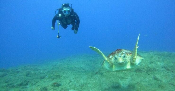 Tenerife: PADI Advanced Open Water Diver Course - Course Duration and Instructor