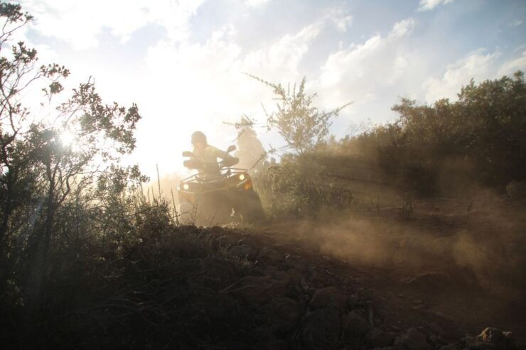 Tenerife: Panoramic Off-road Quad Bike Experience - Experience Highlights