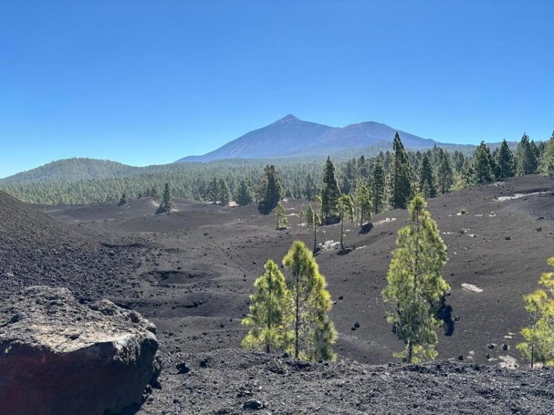 Tenerife: Premium E-Bike Ride at Chineyro Volcanic Area - Good To Know