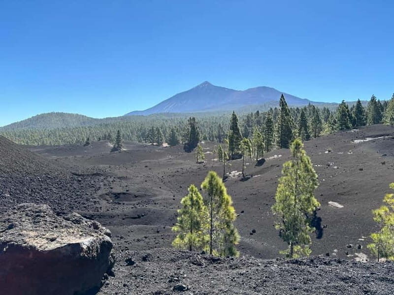 Tenerife: premium e-bike ride at Chineyro volcanic area - Good To Know