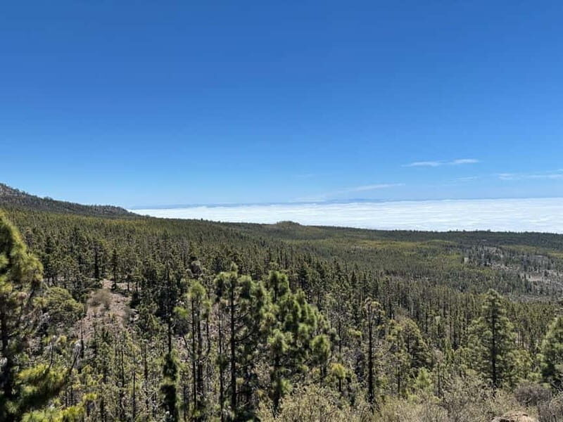 Tenerife: premium e-bike ride at Vilaflor- Lunar Landscape - A Detailed Look at the Vilaflor E-Bike Tour
