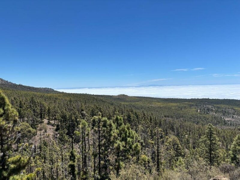 Tenerife: Premium E-Bike Ride at Vilaflor - Lunar Landscape - Itinerary and Experience