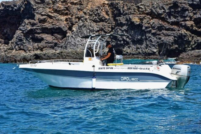Tenerife: Private Boat Tour 7 Hours, Private Groups With All Inclusive - Boat Specifications