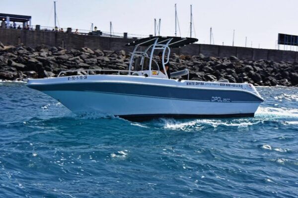 Tenerife: Private Boat Tour 7 Hours, Private Groups With All Inclusive - Inclusions