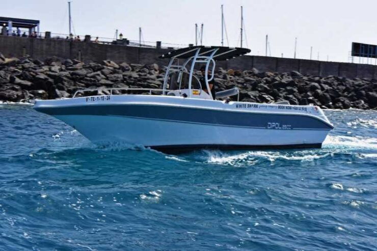 Tenerife: Private Boat Tour for 4 Hours, Exclusive Trip With All-Inclusive. - Experience and Highlights