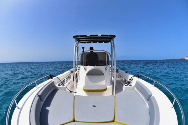 Tenerife: Private Boat Tour for 4 Hours, Exclusive Trip With All-Inclusive. - Frequently Asked Questions
