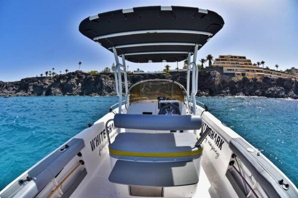 Tenerife: Private Boat Tour for 4 Hours, Exclusive Trip With All-Inclusive. - Frequently Asked Questions