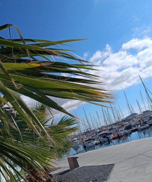 Tenerife: PRIVATE Catamaran Cruise With Lunch and Drinks - Safety Information