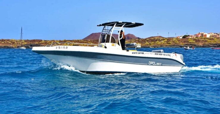 Tenerife: Private Fishing Charter, Fishing Charter With All Inclusive - Departure and Itinerary