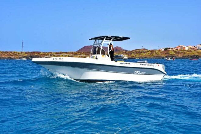 Tenerife: Private Fishing Charter, Fishing Charter With All Inclusive - Boat Details