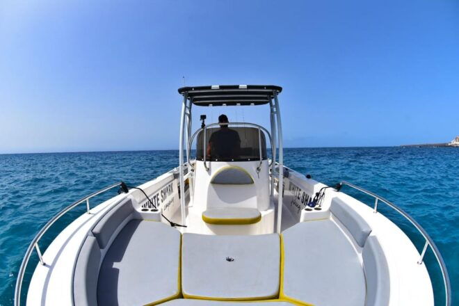 Tenerife: Private Fishing Charter, Fishing Charter With All Inclusive - Fishing Equipment