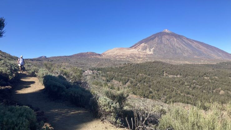 Tenerife: Private Guided Mindful Hike Teide With Transport - Benefits