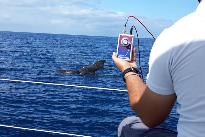 Tenerife Private Half-Day Sailing and Dolphin-Watching Tour - Common Questions