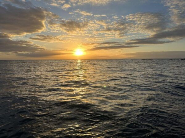 Tenerife: Private Luxury Sunset Boat Experience - Directions