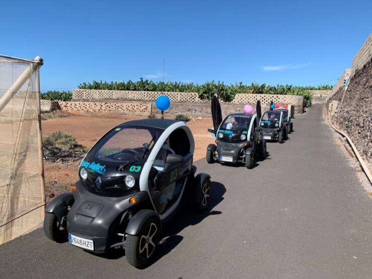Tenerife: Private Renault Twizy Tour - Booking Details