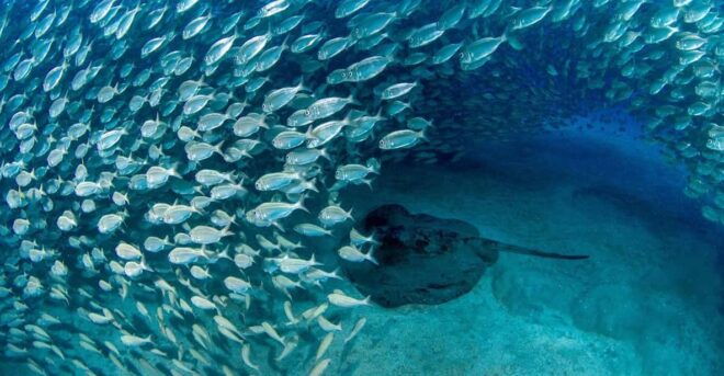 Tenerife: Private Scuba Diving Experience for Every Level - Included Equipment